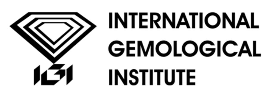 logo-igi