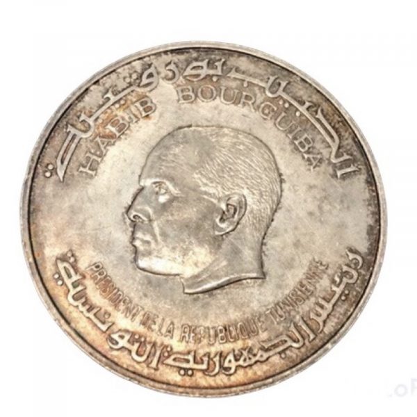 piece habib